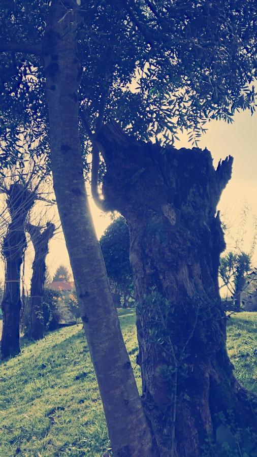 Casal Da Batoca Nature House Fafe Zewnętrze zdjęcie